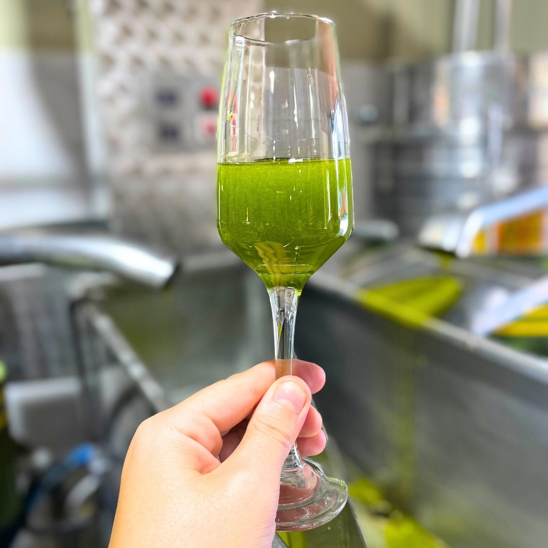 Hand holding olive oil glass filled with bright green Oro Bailen-Picual olive oil against kitchen background