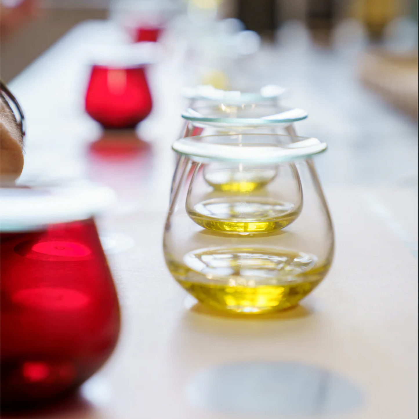 Exclusive Olive Oil Tasting