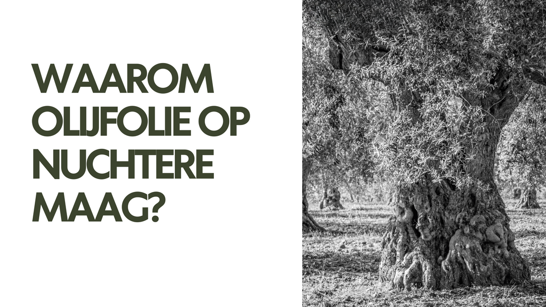 Waarom olijfolie op nuchtere maag?