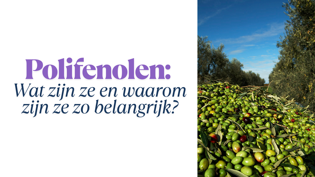 Polifenolen: Wat zijn ze en waarom zijn ze zo belangrijk?