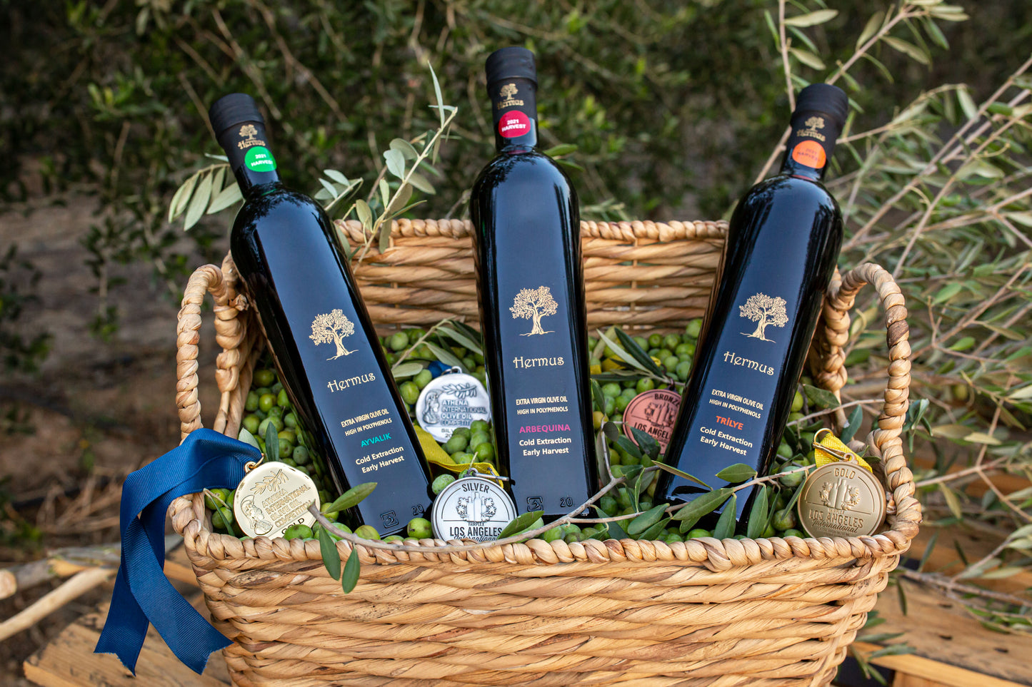 Wereldse Olijfolie Bundel – 4 Landen