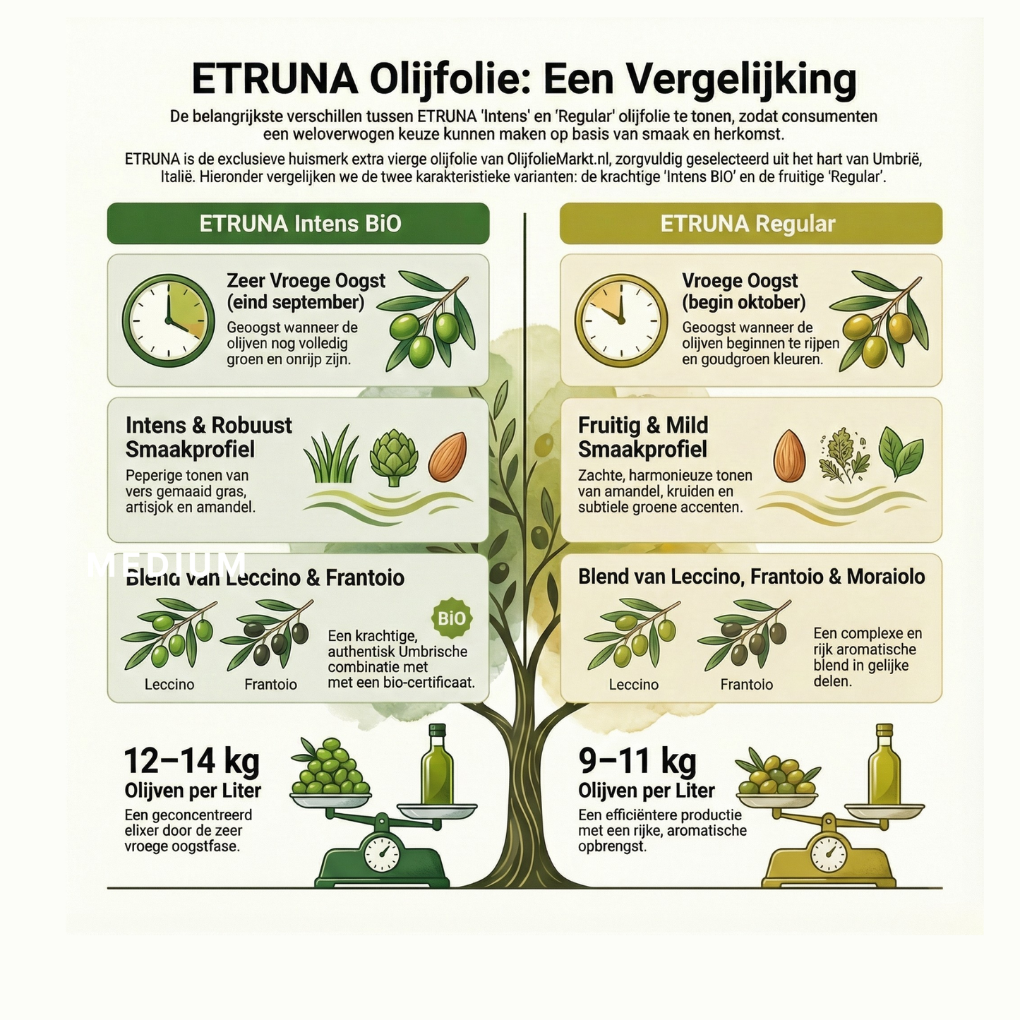 Olive Oil Market - Etruna