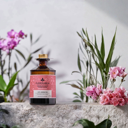 NOBLEZA DEL SUR – ECO Day